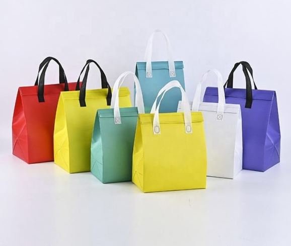 Portable thermal insulation bag