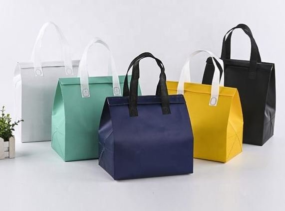 Portable thermal insulation bag